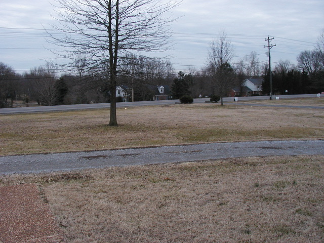 P2141105.JPG