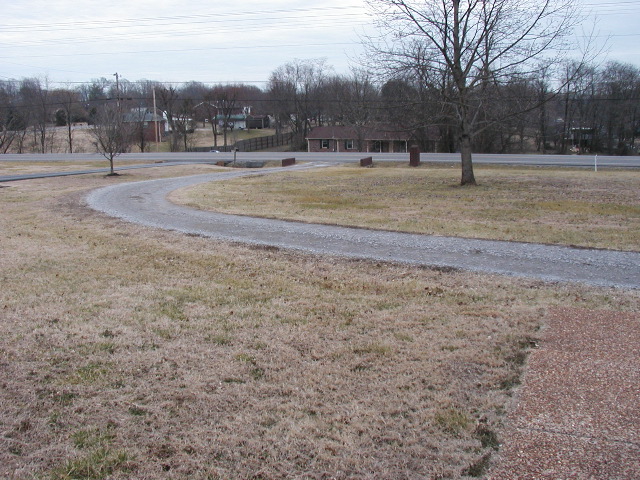 P2141106.JPG