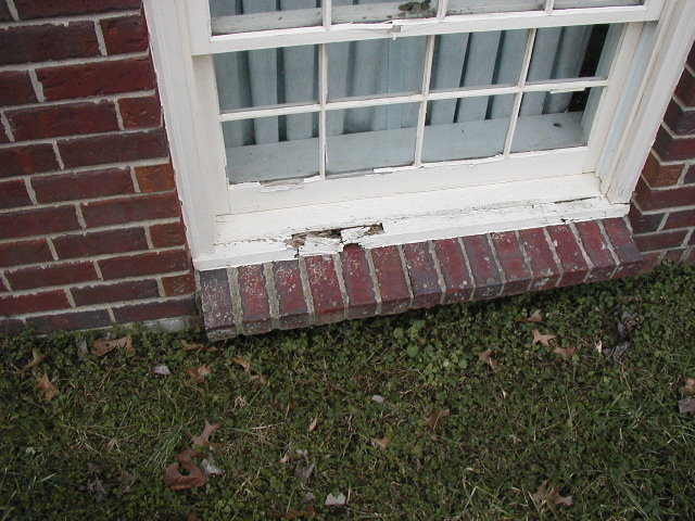 P2141140.JPG
