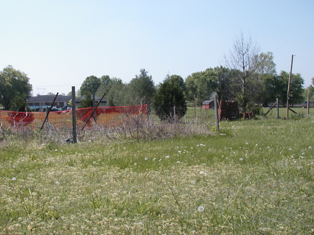 P1010003.JPG