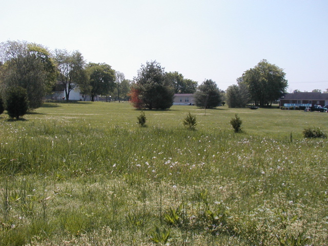 P1010004.JPG
