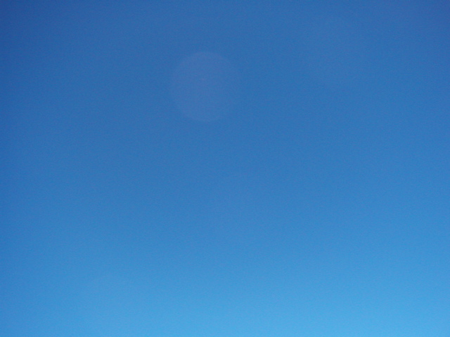 P1010067.JPG