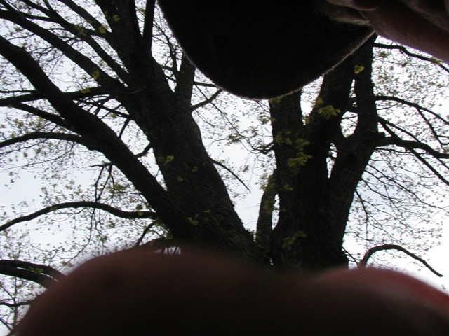 P1010101.JPG