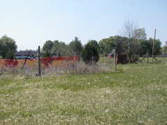 P1010003.JPG