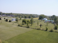 P1010005.JPG