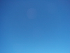 P1010067.JPG