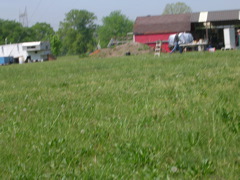 DSCN1338.JPG