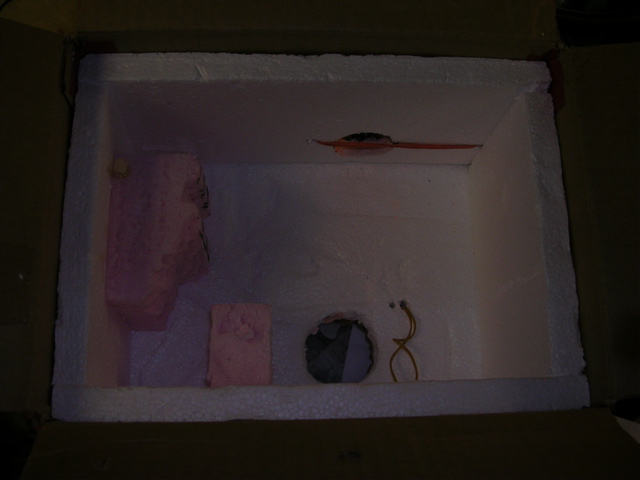 DSCN1343.JPG