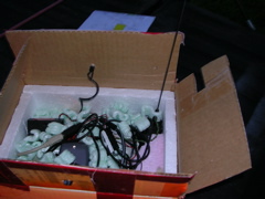DSCN1342.JPG