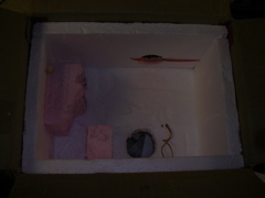 DSCN1343.JPG