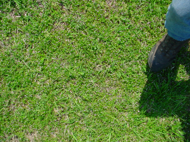 DSC00490.JPG