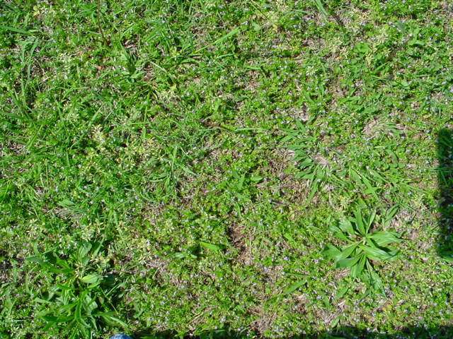 DSC00491.JPG