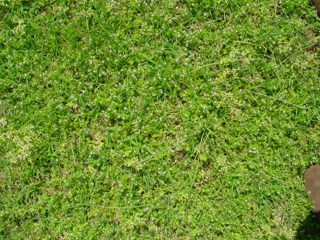 DSC00492.JPG
