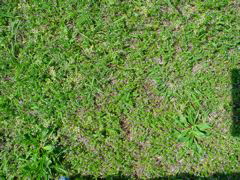 DSC00491.JPG