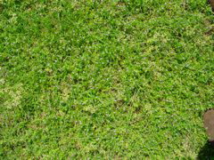 DSC00492.JPG