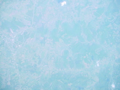 DSC00528.JPG