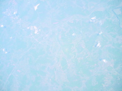 DSC00535.JPG