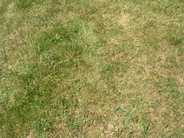 DSCN1428.JPG
