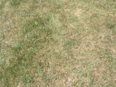 DSCN1428.JPG