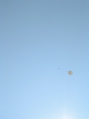 DSCN1453.JPG