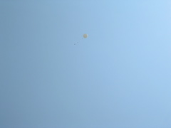 DSCN1455.JPG