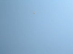 DSCN1456.JPG