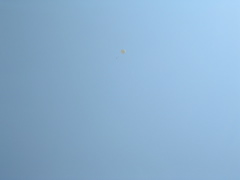 DSCN1457.JPG