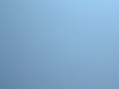 DSCN1458.JPG