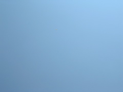 DSCN1459.JPG