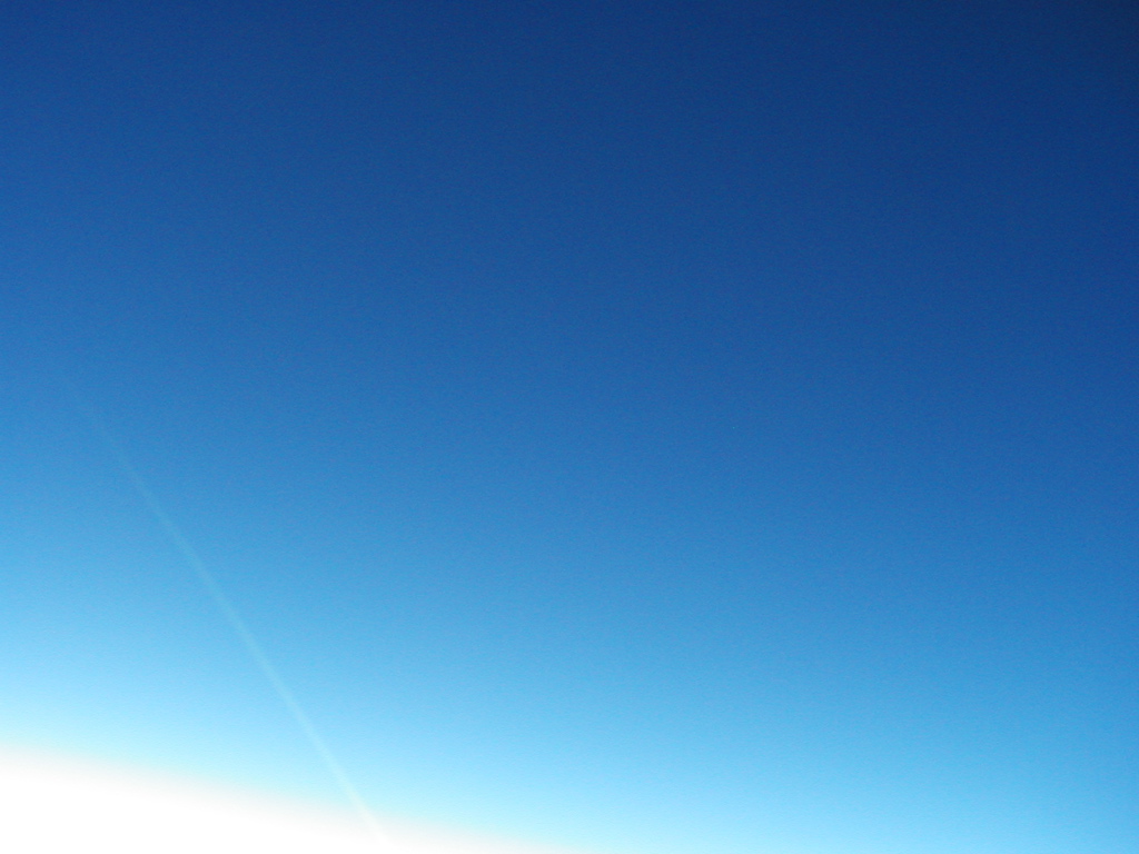 P1010156.JPG