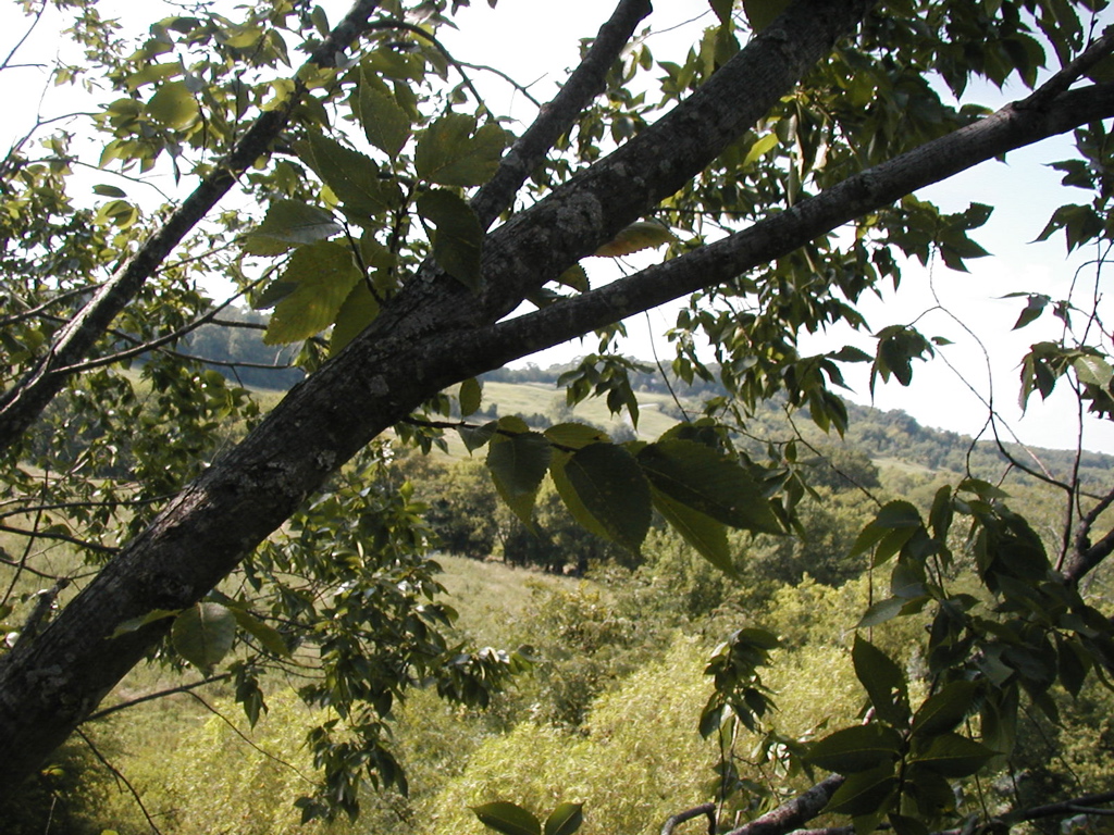P1010187.JPG