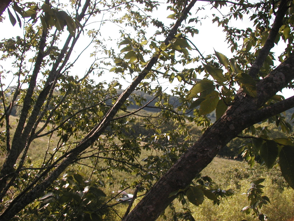 P1010257.JPG