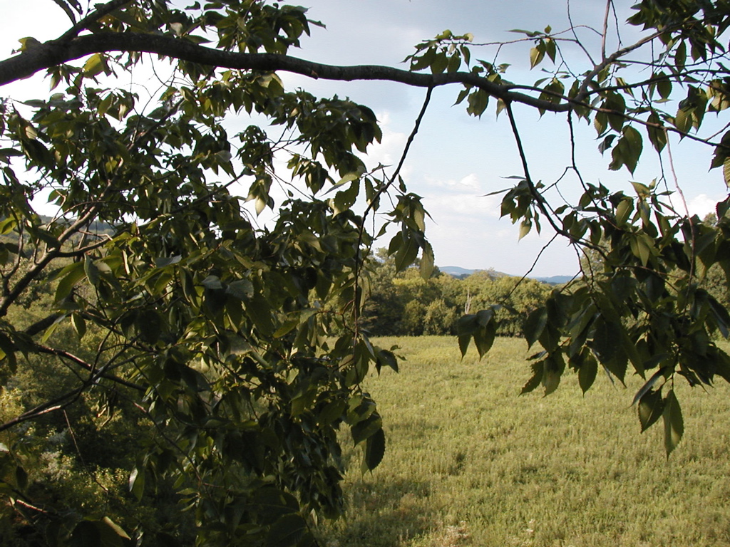 P1010259.JPG
