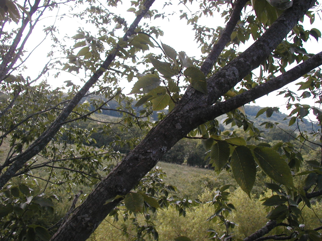 P1010293.JPG