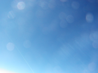 P1010148.JPG
