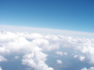 P1010017.JPG