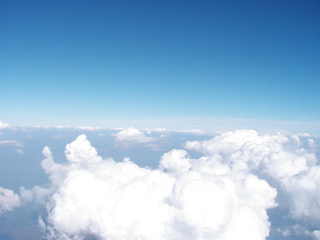 P1010174.JPG