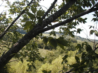 P1010187.JPG