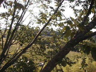 P1010257.JPG