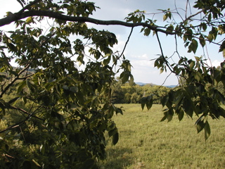 P1010259.JPG