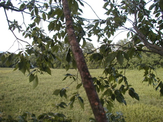 P1010275.JPG