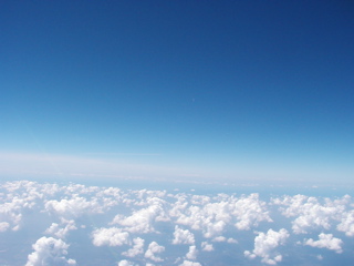 P1010025.JPG