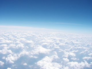 P1010037.JPG