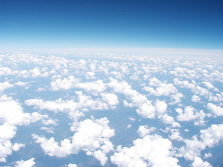 P1010045.JPG