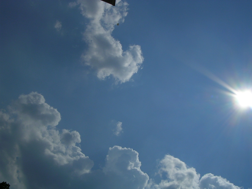 DSCN1518.JPG