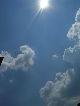 DSCN1516.JPG