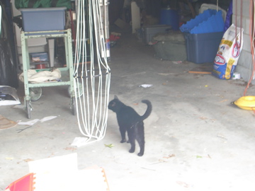 DSCN1468.JPG