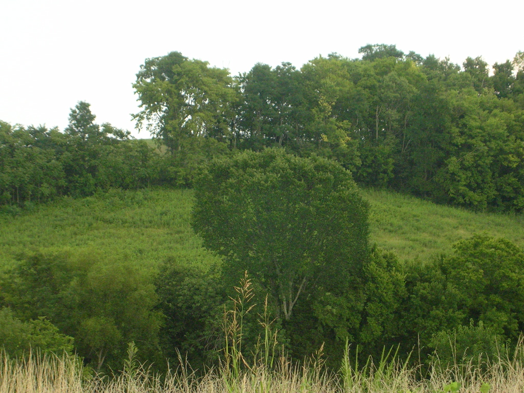 DSCN1532.JPG