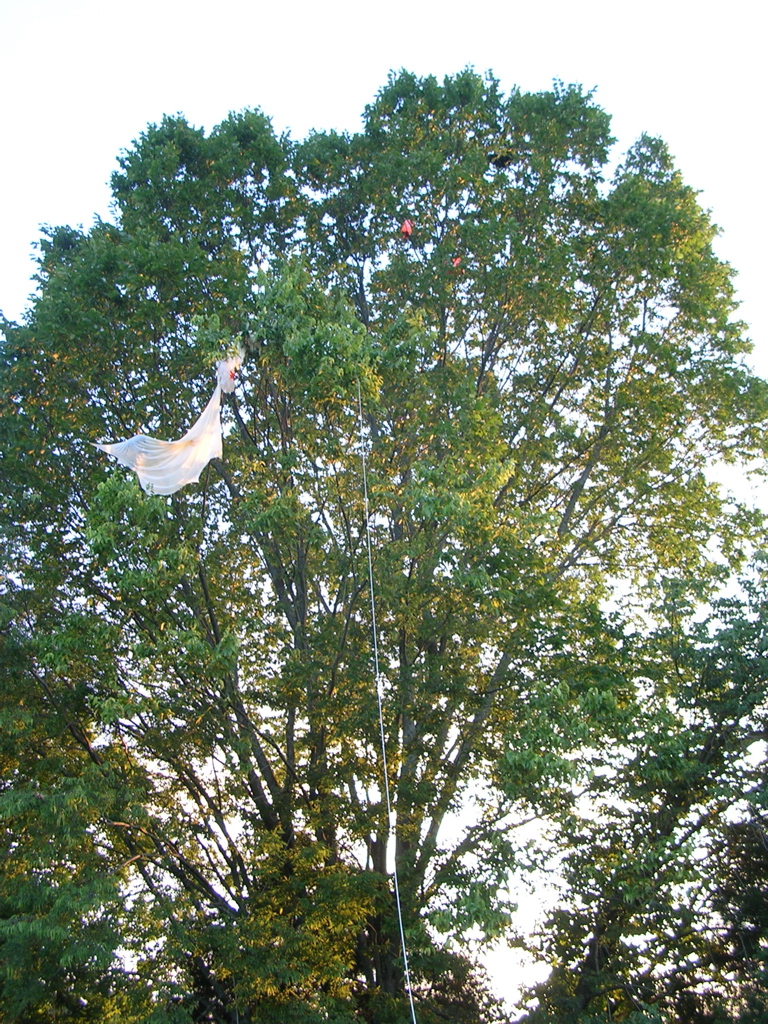 DSCN0002.JPG