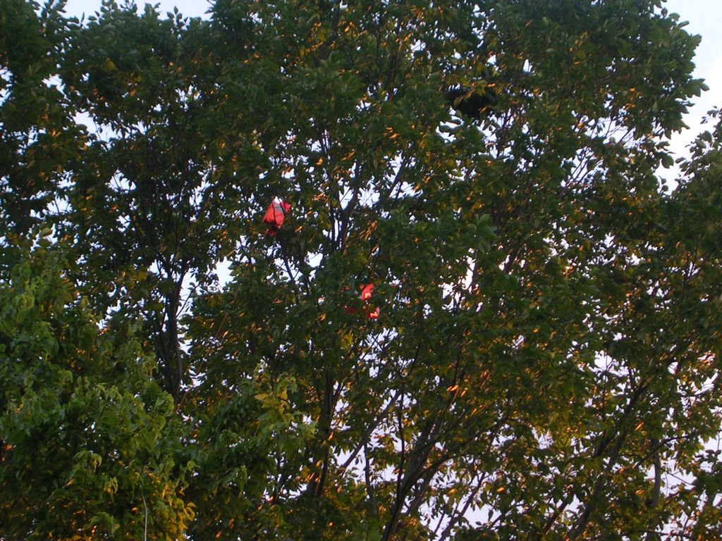 DSCN1536.JPG